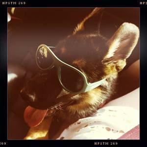 Meet your Posher, Sara